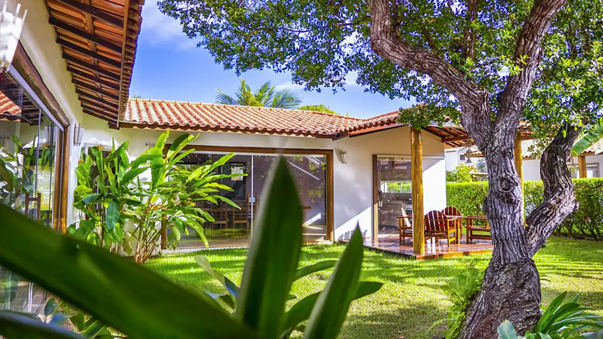 Casa Árvore