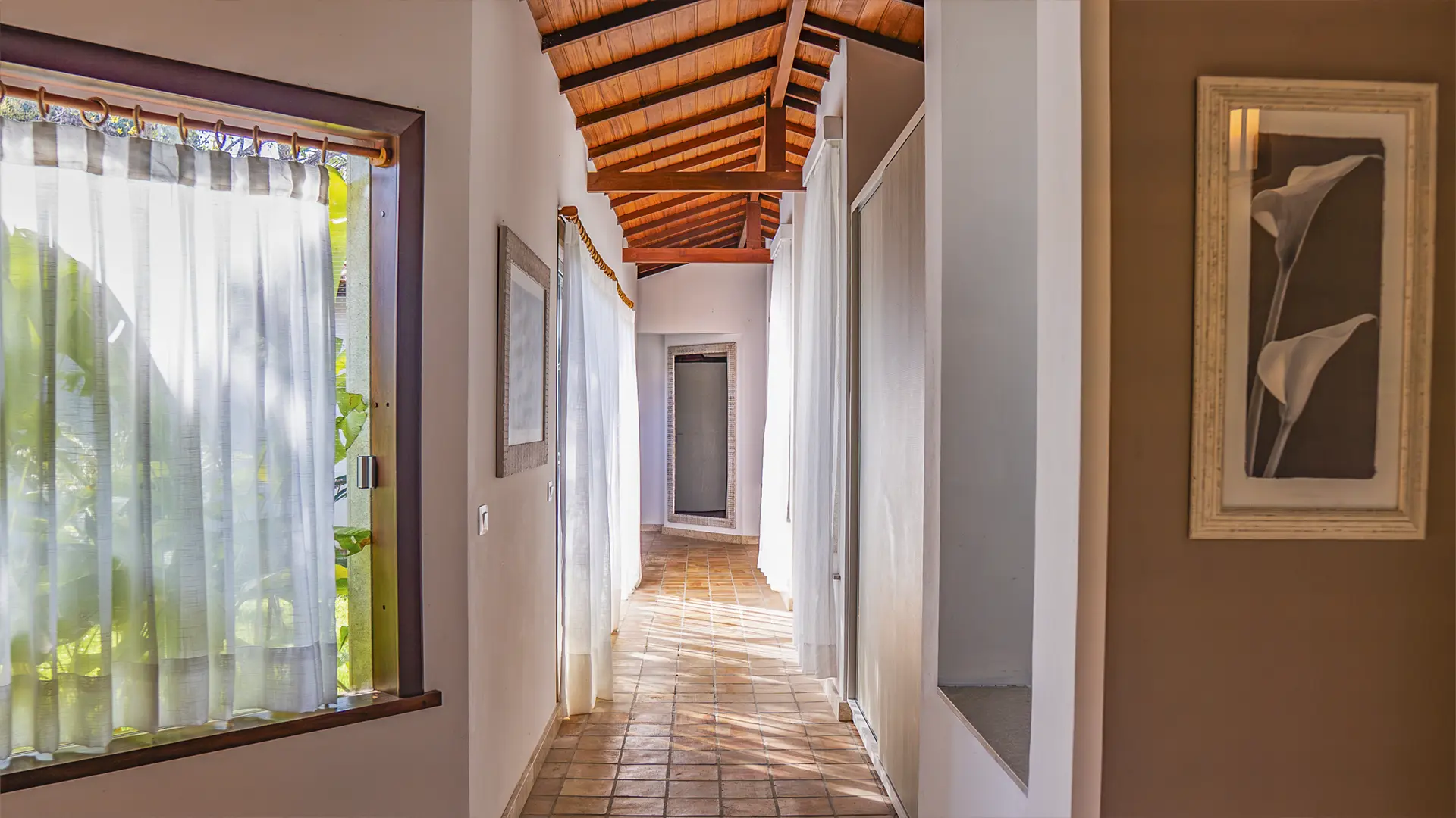 Casa Árvore