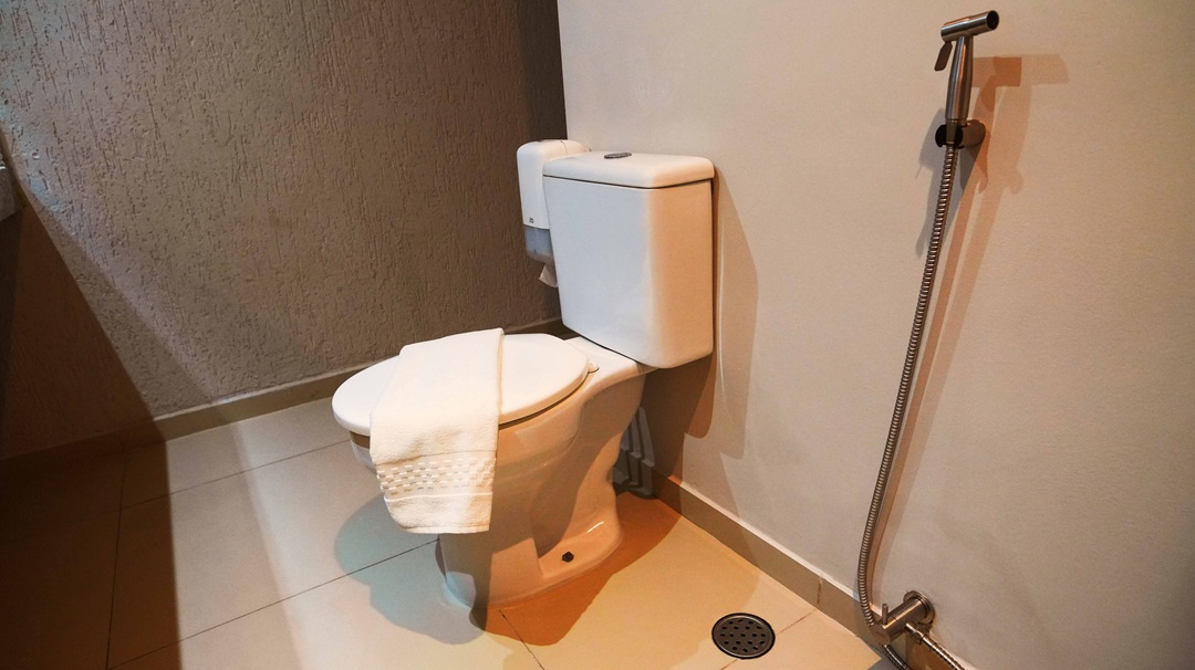 Standard Jardim